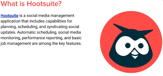 Hootsuite Logo: Hootsuite Logo Distinctive Features