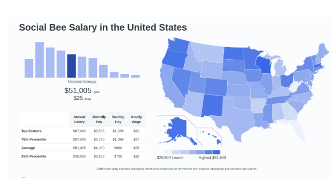 SocialBee IO Jobs: SocialBee Salary 