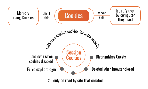 SEMrush cookies: Session Cookies